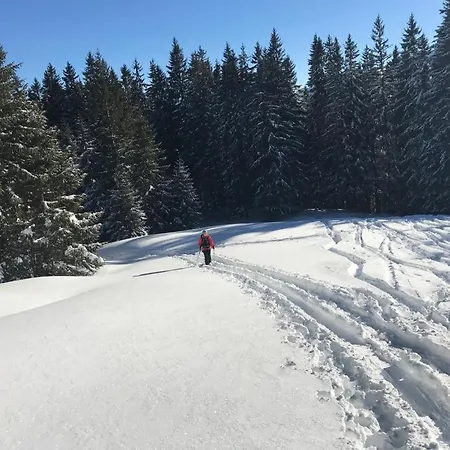 Badstubweg *